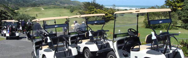 esgm golf tour banner